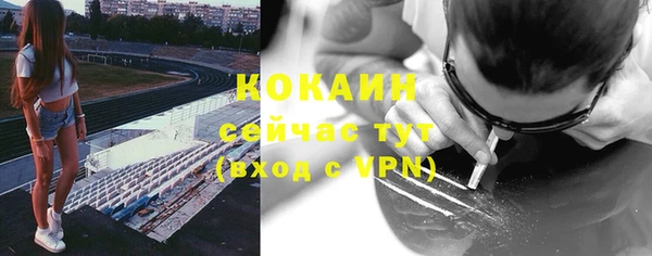 гидра Аркадак