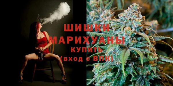 гидра Аркадак