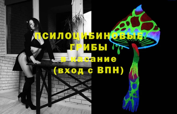 гидра Аркадак