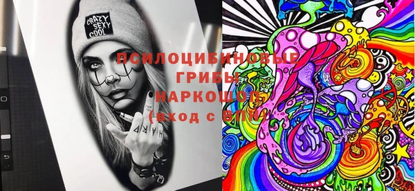 МДПВ Армянск