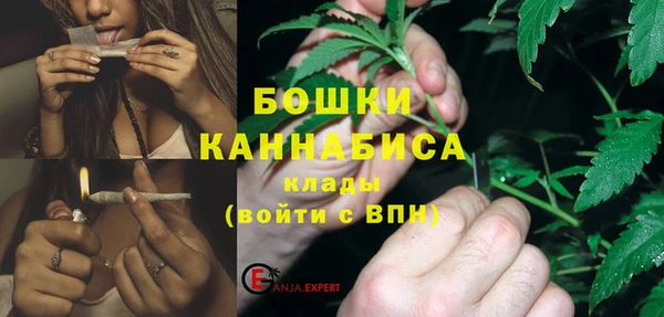 гидра Аркадак